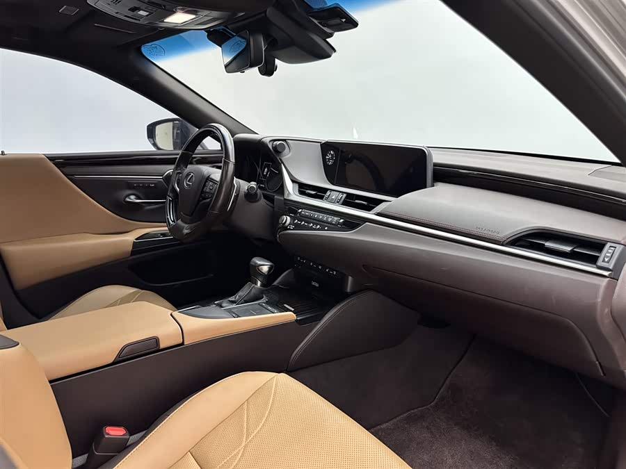Lexus ES 300h Executive 2020 - zdjęcie 13