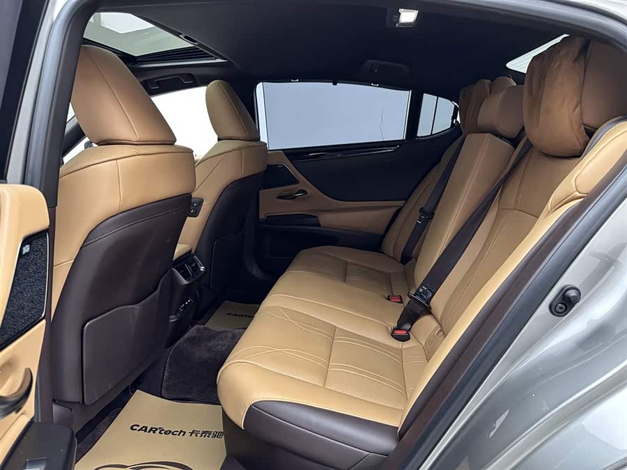 Lexus ES 300h Executive 2020 - zdjęcie 14