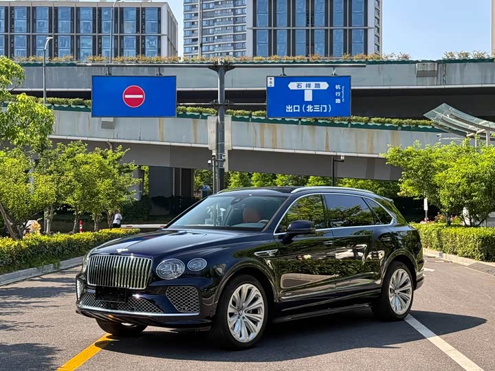 2024 4.0T V8 Long Wheelbase Luxury - zdjęcie 12