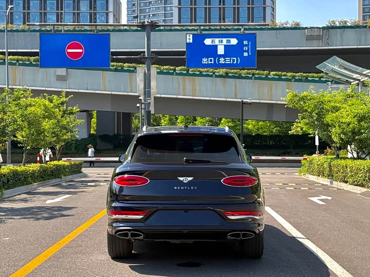 2024 4.0T V8 Long Wheelbase Luxury - zdjęcie 17