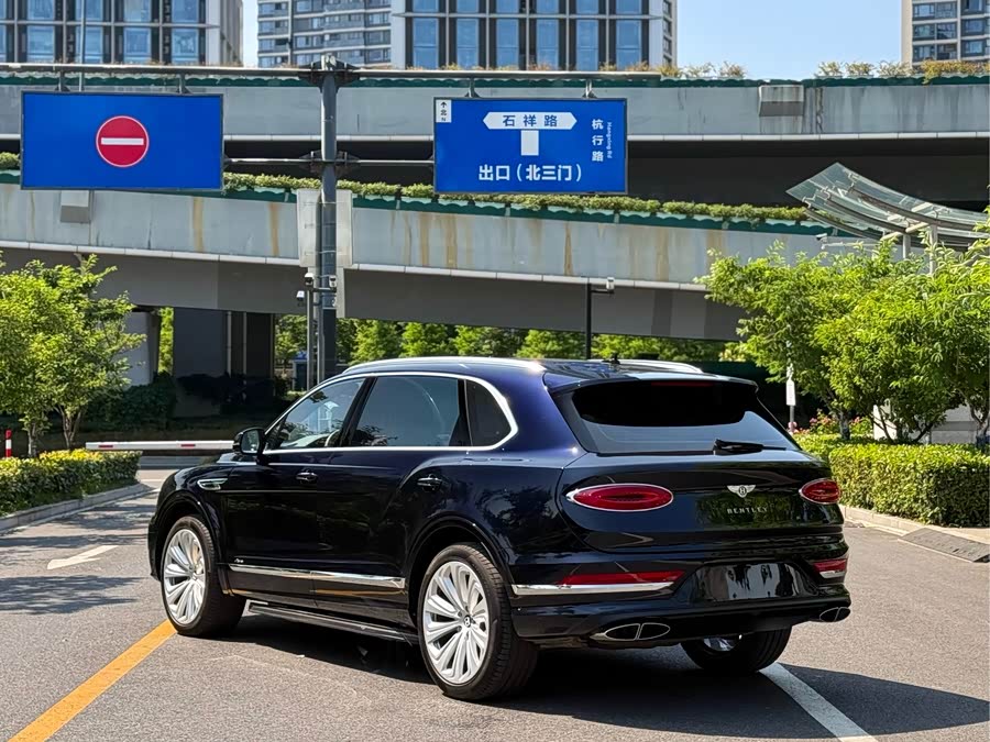 2024 4.0T V8 Long Wheelbase Luxury - zdjęcie 9