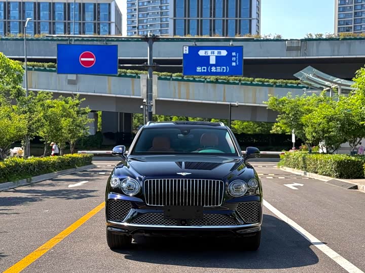 2024 4.0T V8 Long Wheelbase Luxury - zdjęcie 10