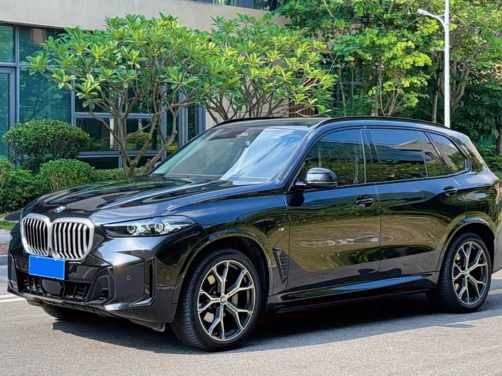 BMW X5 2023 xDrive 30Li Luxury M Sport Night Package - zdjęcie 12