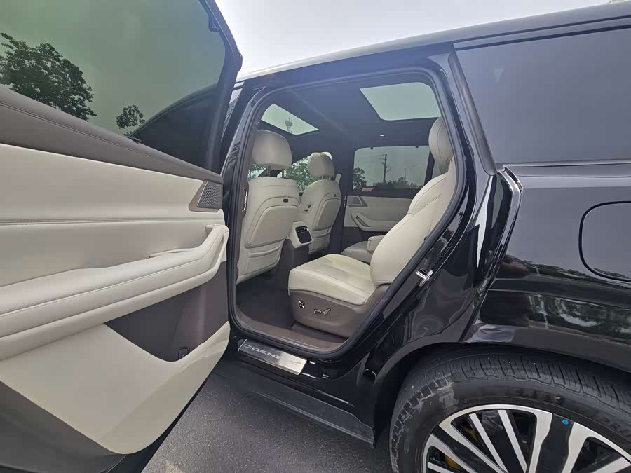 Denza N8L 2025 Luxury - zdjęcie 6