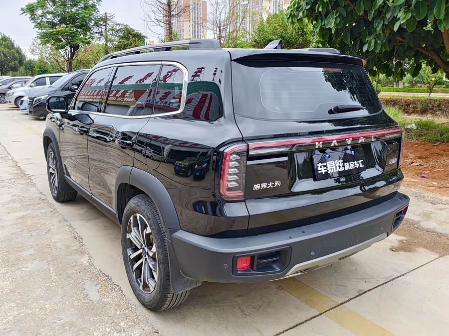 Haval Big Dog 2022 1.5T DCT Two-Wheel Drive Border Collie Edition - zdjęcie 6