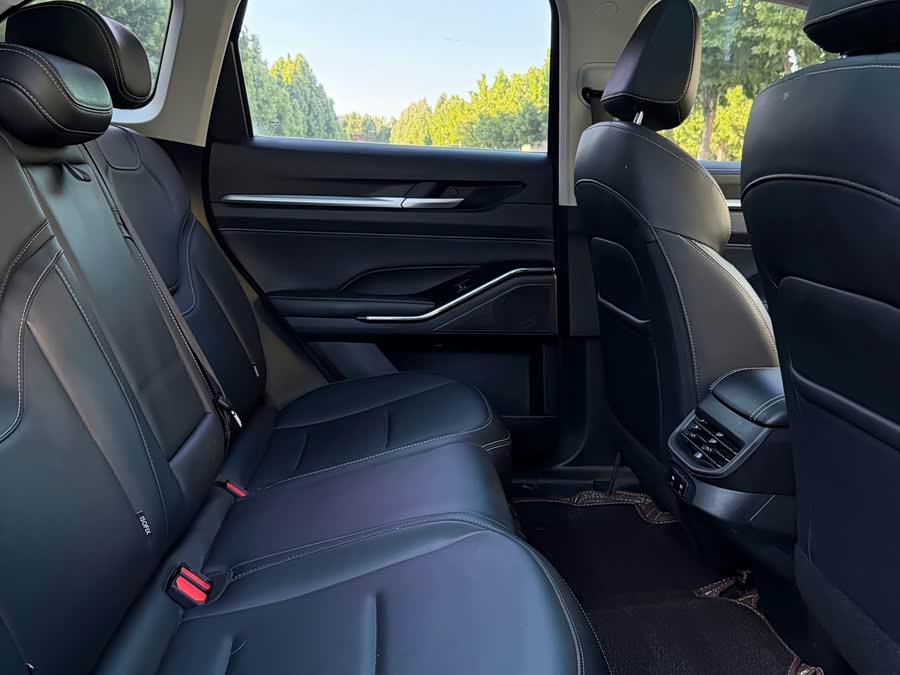 Haval H6 2021 3rd Gen 2.0T Auto 4WD Max - zdjęcie 11