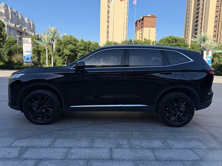 Haval H6 2021 3rd Gen 2.0T Auto 4WD Max - zdjęcie 15