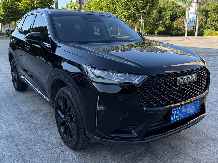 Haval H6 2021 3rd Gen 2.0T Auto 4WD Max - zdjęcie 19