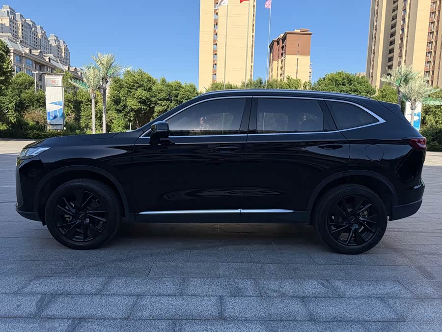 Haval H6 2021 3rd Gen 2.0T Auto 4WD Max - zdjęcie 3