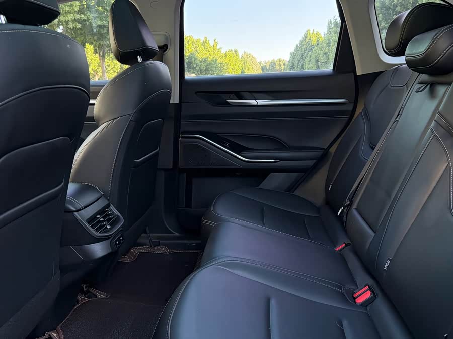 Haval H6 2021 3rd Gen 2.0T Auto 4WD Max - zdjęcie 9