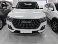 Haval H6 2023 National Trend Edition 1.5T Automatic Urban Version - zdjęcie 17