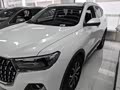 Haval H6 2023 National Trend Edition 1.5T Automatic Urban Version - zdjęcie 18