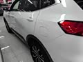 Haval H6 2023 National Trend Edition 1.5T Automatic Urban Version - zdjęcie 20