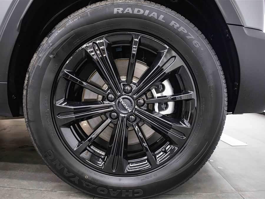 Haval Menglong New Energy 2024 Hi4 145 Off-Road Version - zdjęcie 12