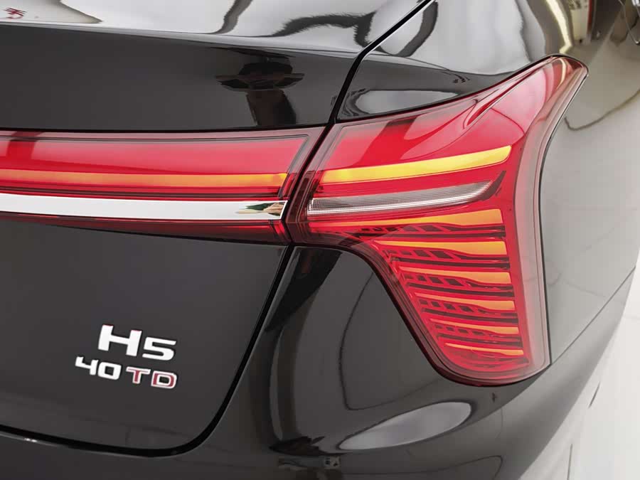 Hongqi H5 2023 2.0T Auto Intelligent Flag Enjoy Version - zdjęcie 20