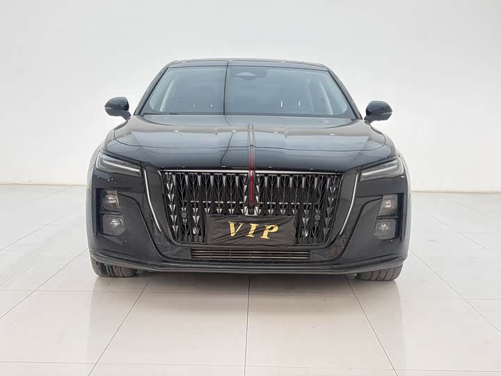 Hongqi H5 2025 2.0T Automatic Xuan Ying Edition - zdjęcie 11
