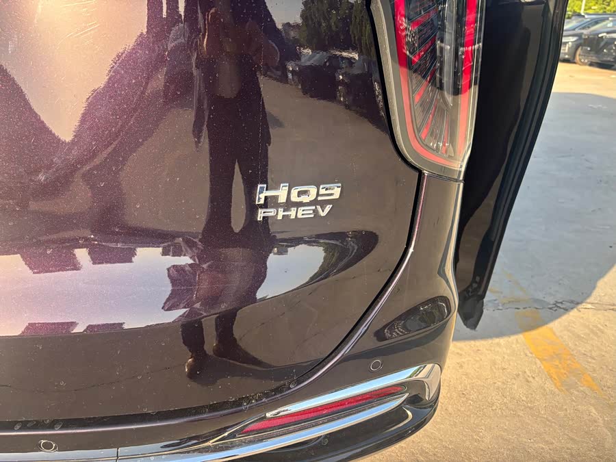 Hongqi HQ9 PHEV 2024 2.0T Four-Wheel Drive Luxury Edition - zdjęcie 13