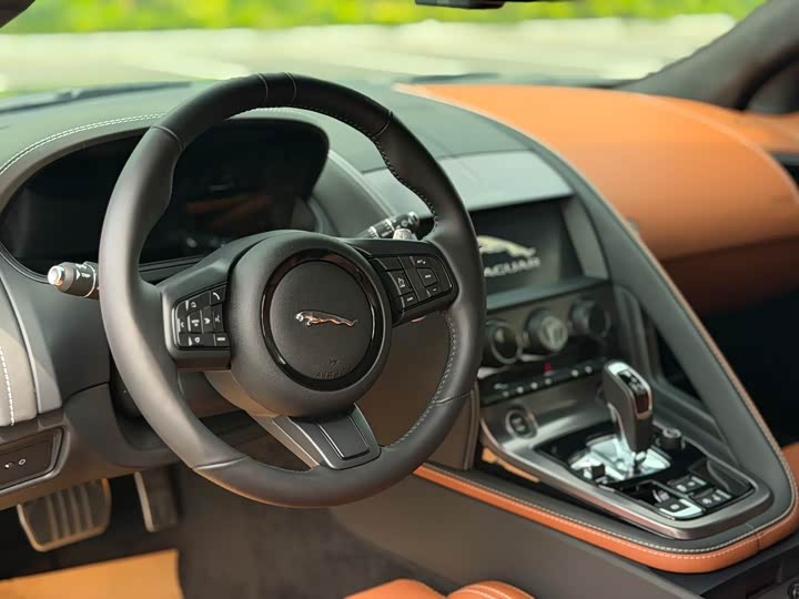 Jaguar F-TYPE 2024 P300 75th Anniversary Hardtop - zdjęcie 19