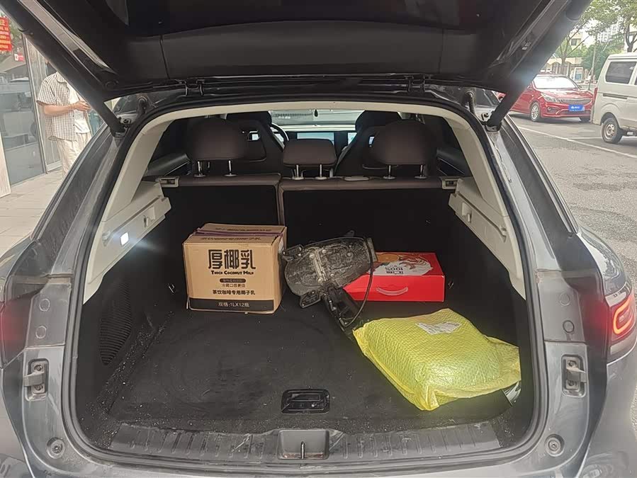 Leapmotor C11 2023 EV 500 Comfort - zdjęcie 4