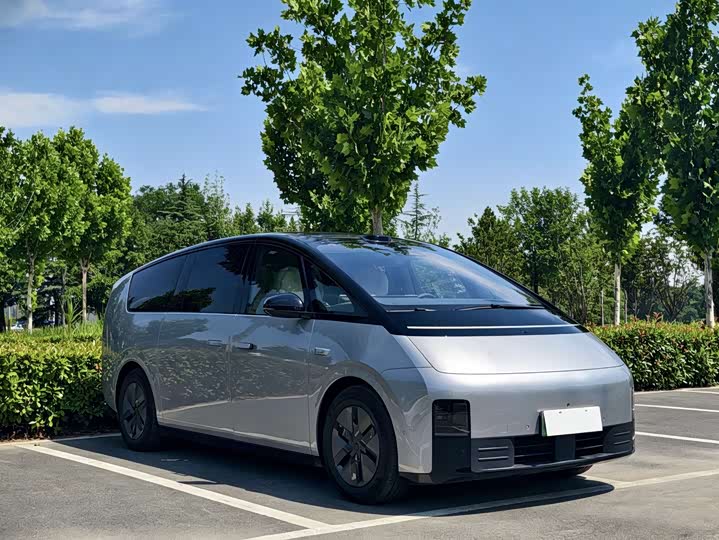 Li Auto MEGA 2025 Home Special Edition - zdjęcie 19