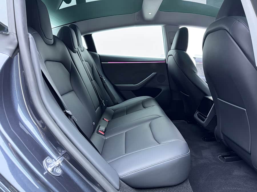 Model 3 2023 Long Range AWD - zdjęcie 6