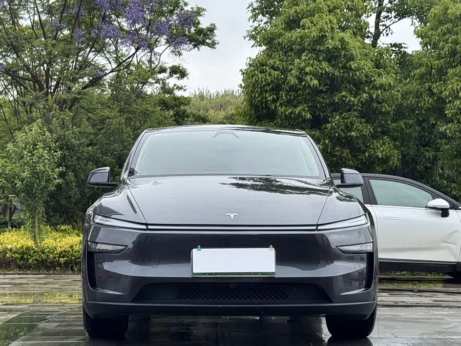 Model Y 2025 Long Range All-Wheel Drive First Edition - zdjęcie 2