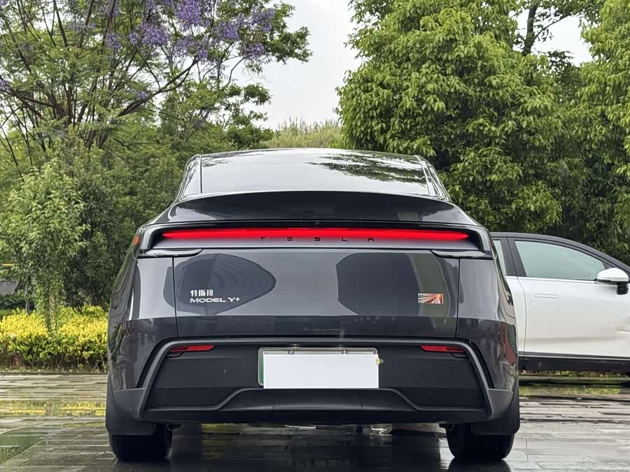 Model Y 2025 Long Range All-Wheel Drive First Edition - zdjęcie 5