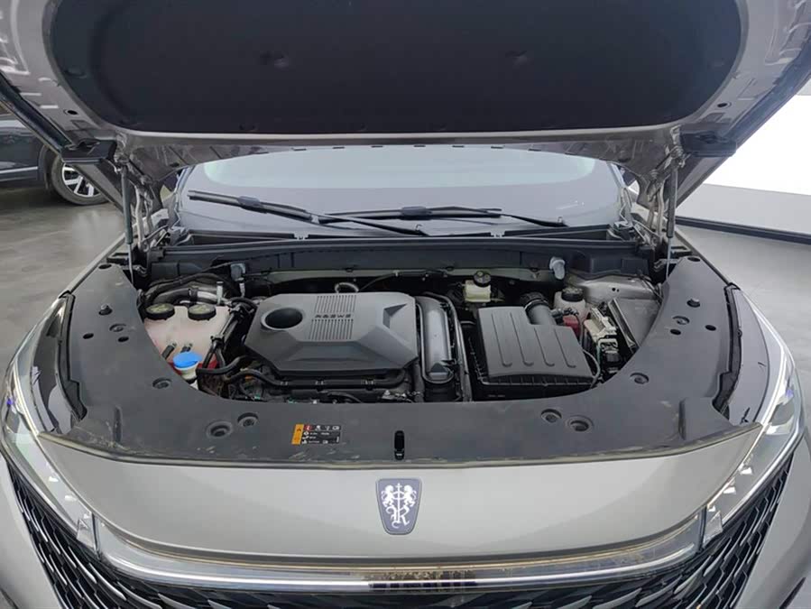 Roewe RX5 New Energy 2023 eRX5 Super Hybrid Superior - zdjęcie 10