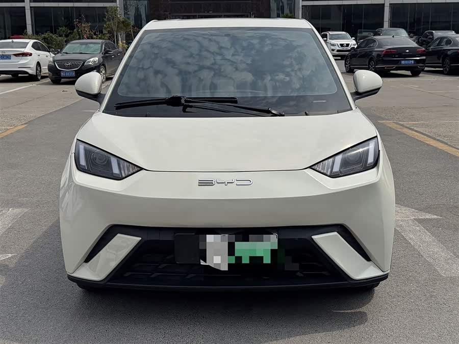 Seagull 2024 Glory Edition 305km Vitality Edition - zdjęcie 2