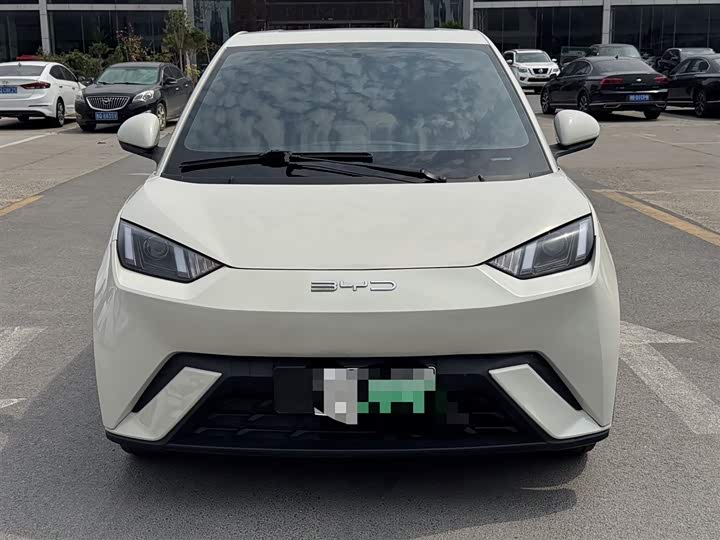 Seagull 2024 Glory Edition 305km Vitality Edition - zdjęcie 11