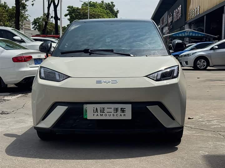Seagull 2024 Glory Edition 305km Vitality Edition - zdjęcie 11