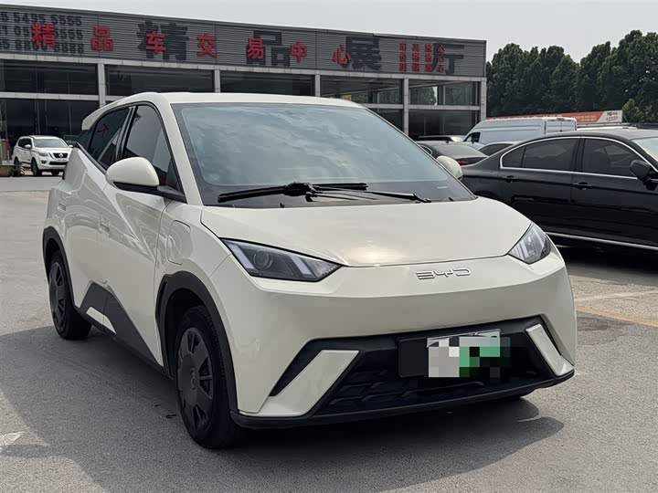 Seagull 2024 Glory Edition 305km Vitality Edition - zdjęcie 12
