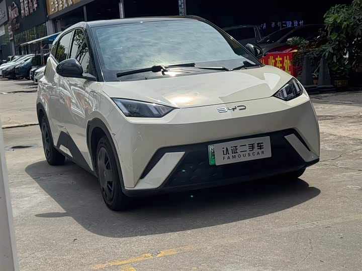 Seagull 2024 Glory Edition 305km Vitality Edition - zdjęcie 12