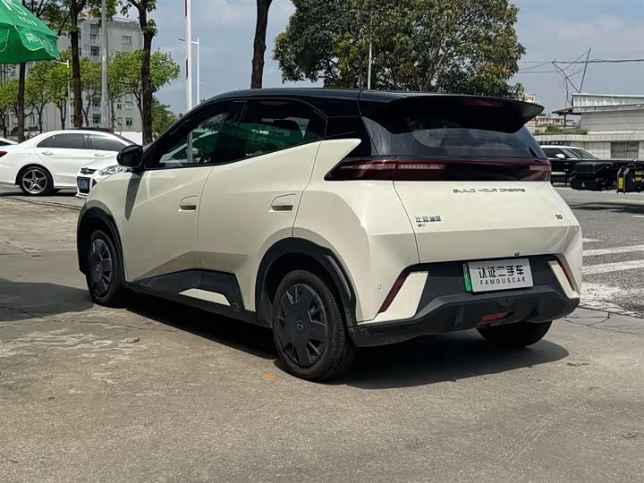 Seagull 2024 Glory Edition 305km Vitality Edition - zdjęcie 17