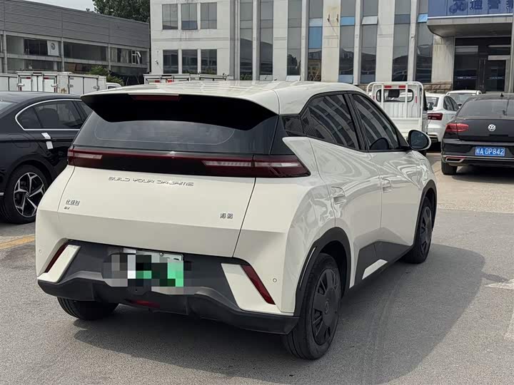 Seagull 2024 Glory Edition 305km Vitality Edition - zdjęcie 18