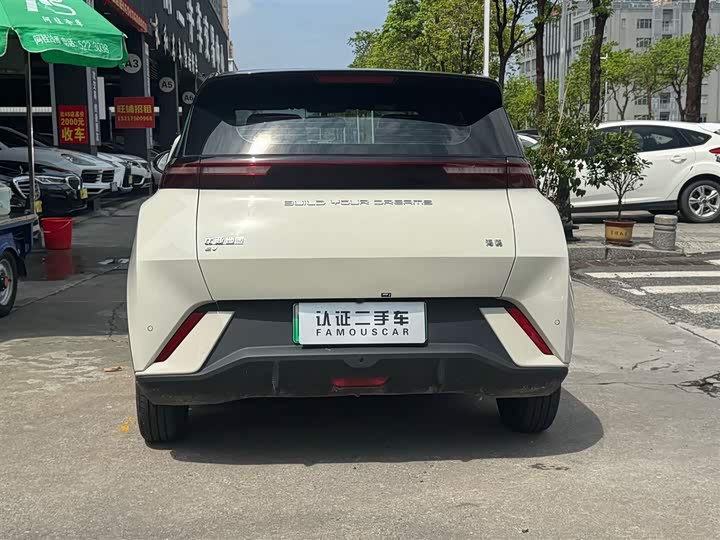 Seagull 2024 Glory Edition 305km Vitality Edition - zdjęcie 18