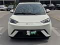 Seagull 2024 Glory Edition 305km Vitality Edition - zdjęcie 20