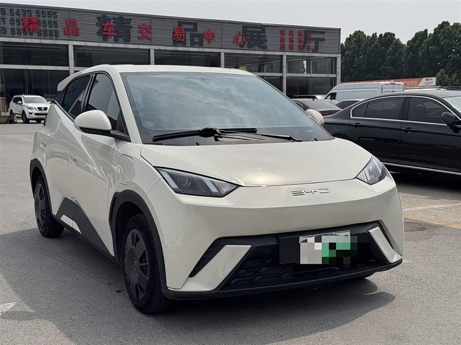 Seagull 2024 Glory Edition 305km Vitality Edition - zdjęcie 3