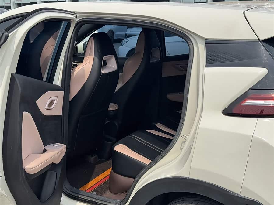 Seagull 2024 Glory Edition 305km Vitality Edition - zdjęcie 6