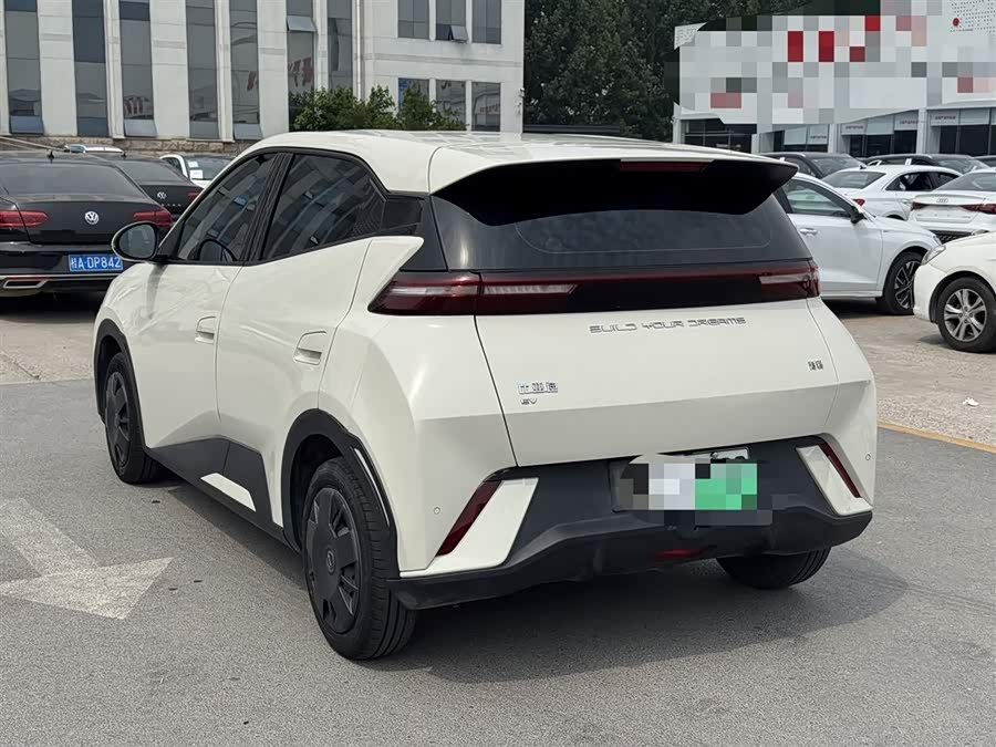Seagull 2024 Glory Edition 305km Vitality Edition - zdjęcie 7