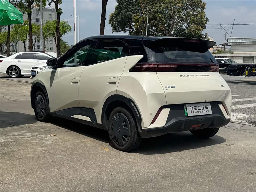 Seagull 2024 Glory Edition 305km Vitality Edition - zdjęcie 8