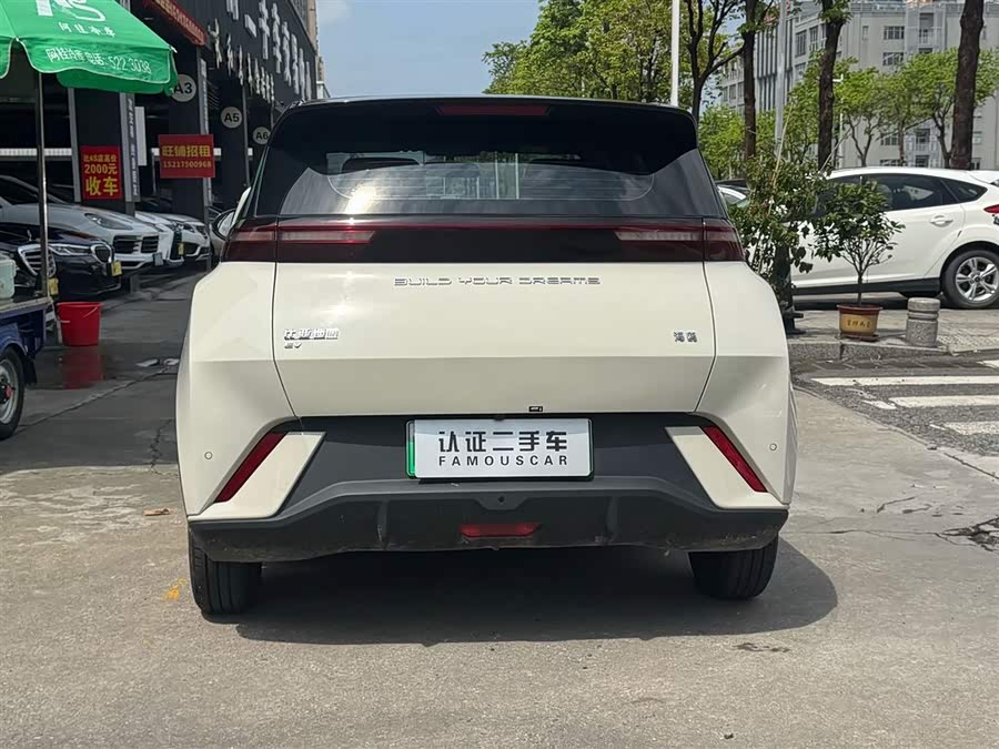 Seagull 2024 Glory Edition 305km Vitality Edition - zdjęcie 9