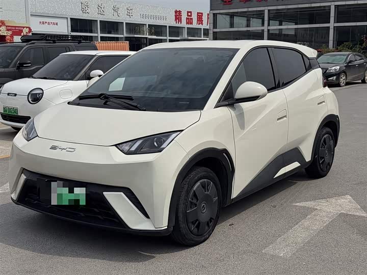 Seagull 2024 Glory Edition 305km Vitality Edition - zdjęcie 10