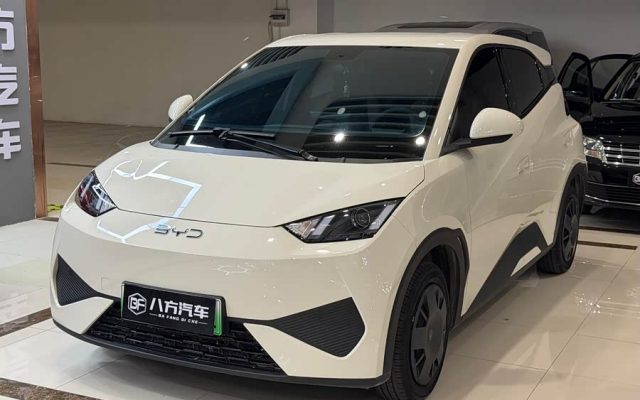 Seagull 2025 Smart Driving Edition 305km Vitality Edition