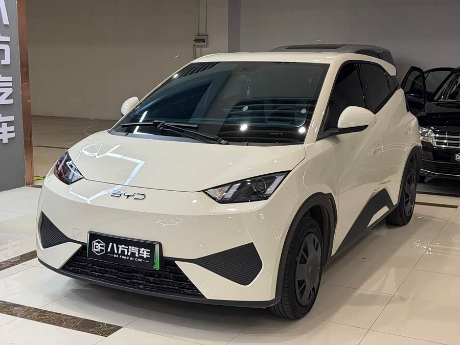 Seagull 2025 Smart Driving Edition 305km Vitality Edition