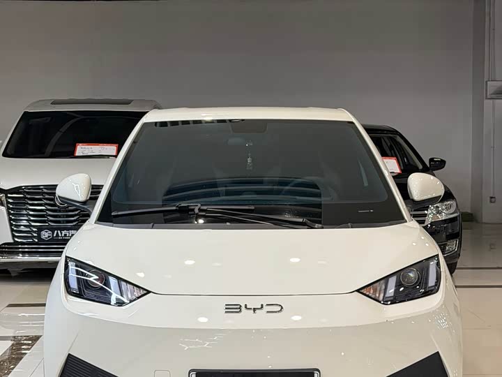 Seagull 2025 Smart Driving Edition 305km Vitality Edition - zdjęcie 11