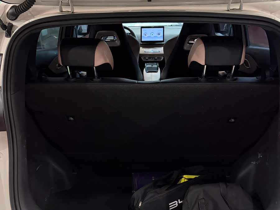 Seagull 2025 Smart Driving Edition 305km Vitality Edition - zdjęcie 9