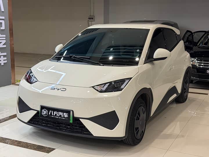 Seagull 2025 Smart Driving Edition 305km Vitality Edition - zdjęcie 10