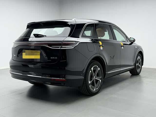 Shangjie H5 2025 EV Max - zdjęcie 6