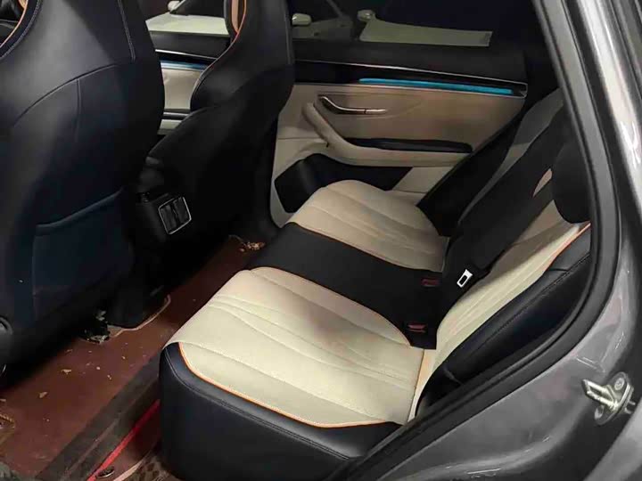Song PLUS 2021 EV Flagship - zdjęcie 14